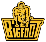 Bigfoot Windows and Roofing